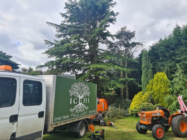 Iceni Tree Care van in a garden setting